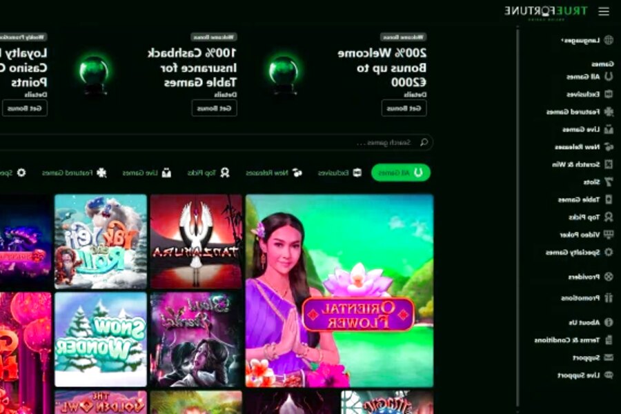 True Fortune Casino No Deposit Bonus Guide